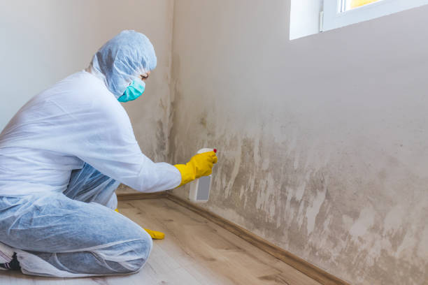 Hvac And Air Duct Mold Remediation inspection of HVAC system in Surprise