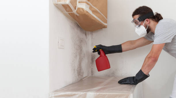 Basement Mold Remediation treatment on basement walls in Surprise